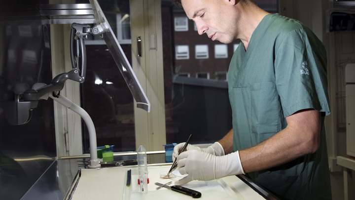 Bakgrund: Ett reportage till Barncancerfondens webb om ett forskningsprojekt som g&aring;r ut p&aring; att g&ouml;ra en total kartl&auml;ggning av cancersjuka barns arvsmassa.BCF finansierar projektet med 15 MKR.Reportaget p&aring; forskaren David Gisselsson Nord p&aring; BMC i Lund.P&aring; bild: Forskaren David Gisselsson. P&aring; denna plats hos kliniska patologen har man uppdelning av inkommande tum&ouml;rer.Fotograf : Johan B&auml;vmanUppdrag : Carl Hjelm / OTW