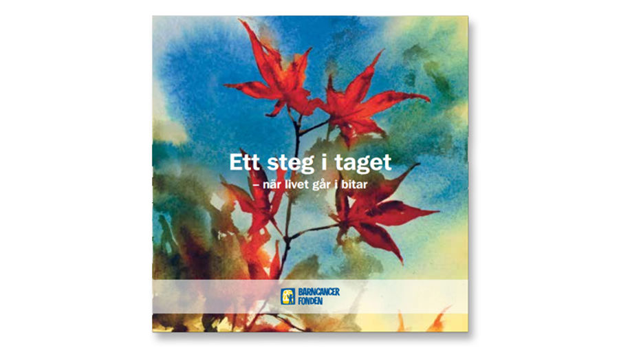 Ett steg i taget - när livet går i bitar