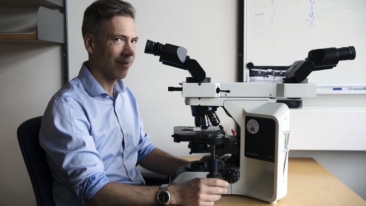 Bakgrund: Ett reportage till Barncancerfondens webb om ett forskningsprojekt som g&aring;r ut p&aring; att g&ouml;ra en total kartl&auml;ggning av cancersjuka barns arvsmassa.BCF finansierar projektet med 15 MKR.Reportaget p&aring; forskaren David Gisselsson Nord p&aring; BMC i Lund.P&aring; bild: Forskaren David Gisselsson vid sitt mikroskop p&aring; hans kontor i Lund.Fotograf : Johan B&auml;vmanUppdrag : Carl Hjelm / OTW
