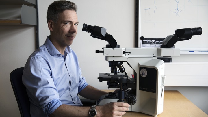 Bakgrund: Ett reportage till Barncancerfondens webb om ett forskningsprojekt som går ut på att göra en total kartläggning av cancersjuka barns arvsmassa.BCF finansierar projektet med 15 MKR.Reportaget på forskaren David Gisselsson Nord på BMC i Lund.På bild: Forskaren David Gisselsson vid sitt mikroskop på hans kontor i Lund.Fotograf : Johan BävmanUppdrag : Carl Hjelm / OTW