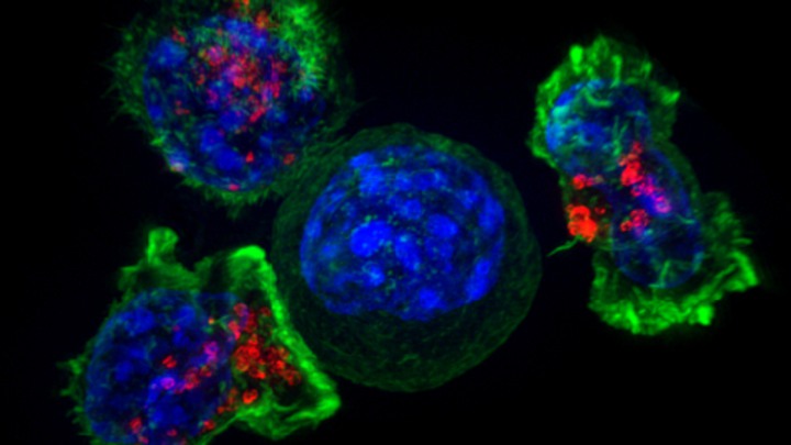  t-celler runt cancercell