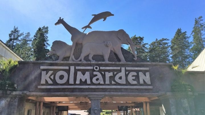 Entre Kolmårdens djurpark. Djur i siluett ovanför ingången. Lejon, giraff, delfin, elefant