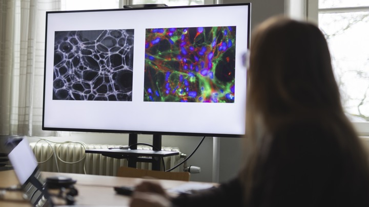 En kvinna sitter vid ett skrivbord framf&ouml;r en dator